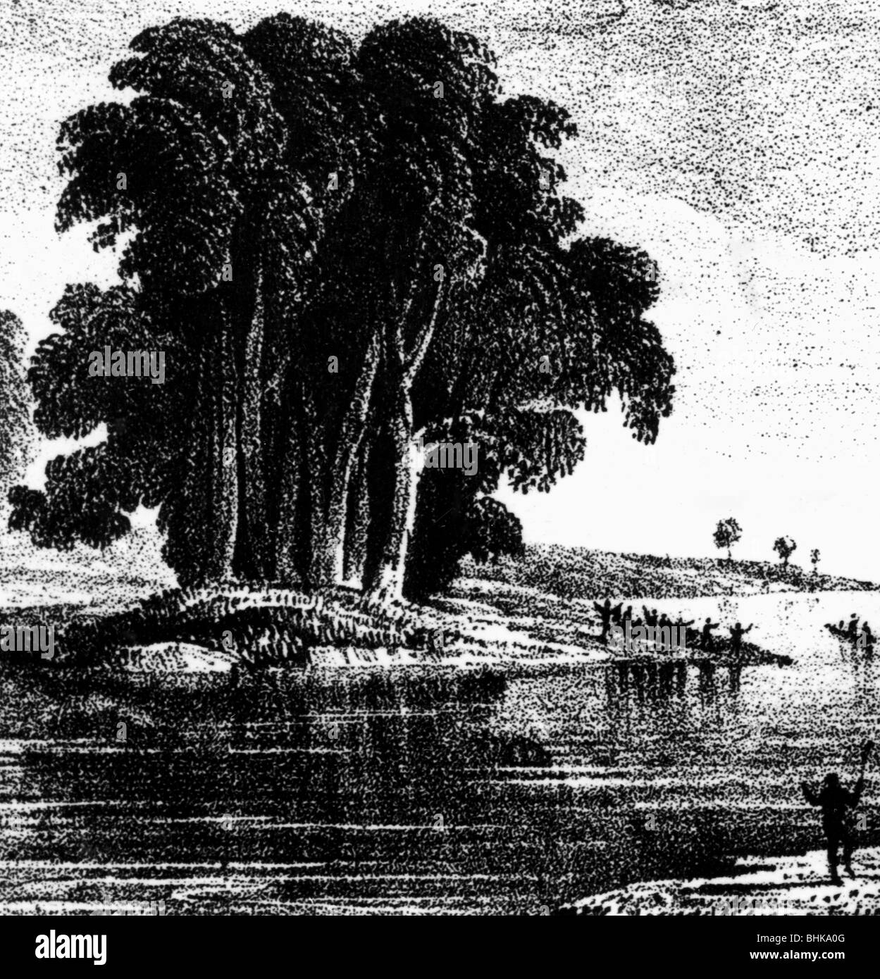 Sturt, Charles, 28.4.1795 - 16.6.1869, explorateur britannique d'Australie, scène, Sturt découvre la Darling River, 1829, Banque D'Images