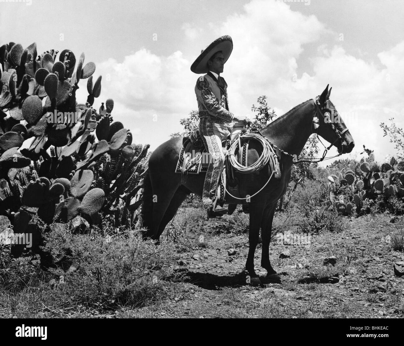 Géographie / voyages, Mexique, gens, Gaucho sur son cheval, années 60, Banque D'Images