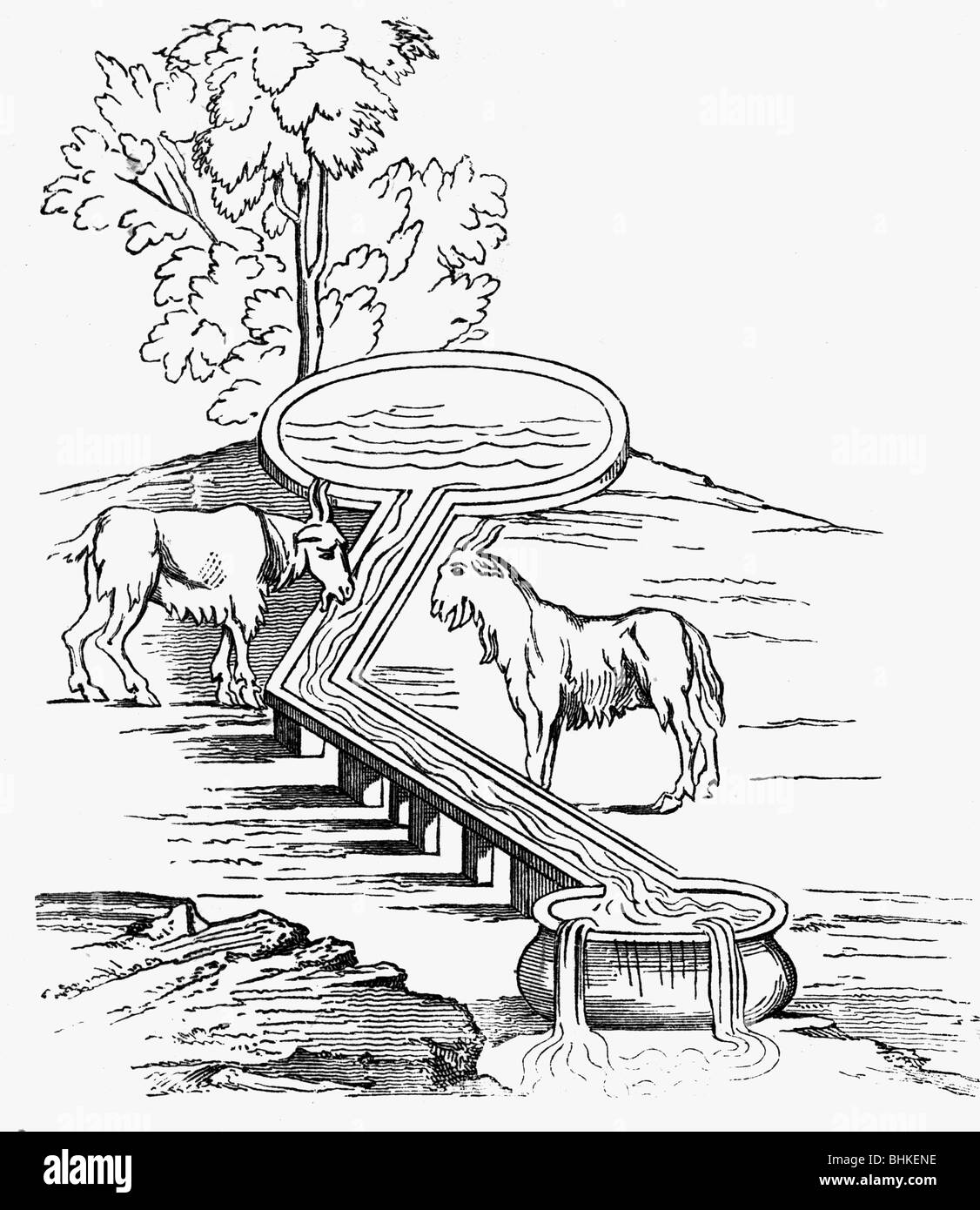 Agriculture, élevage de stocks, lieu d'arrosage, après Publius Vergilius Maro 'Georgica', 3ème livre, gravure de bois après Bartoli, XIXe siècle, , Banque D'Images