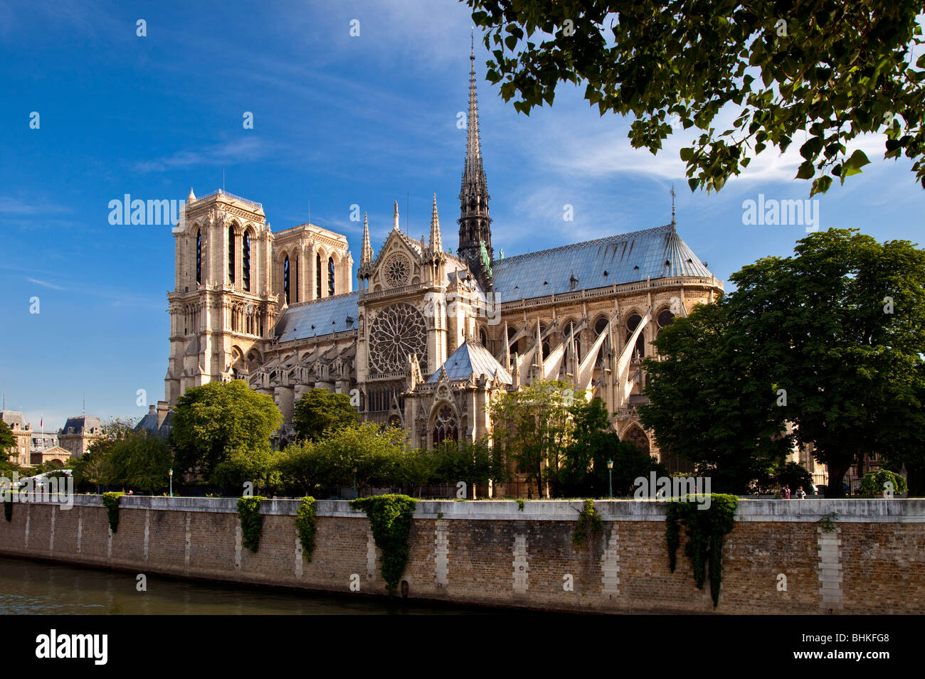 Cathédrale Notre Dame le long de la Seine, Paris France Banque D'Images