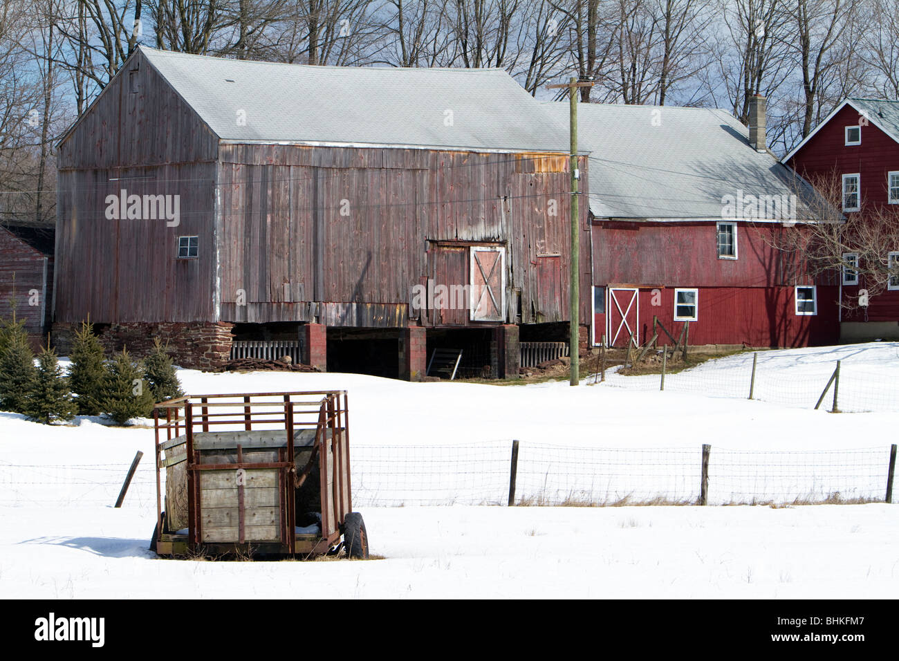 Une scène agricole d'hiver. Une vieille remorque agricole dans un champ couvert de neige avec une maison et deux granges attenantes. Banque D'Images