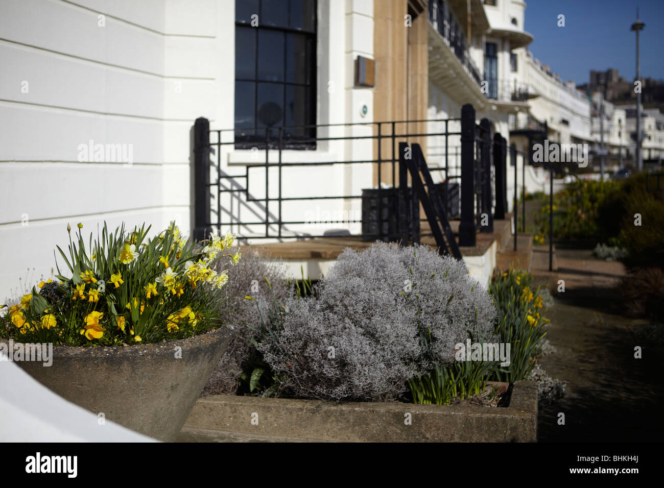Petit jardin à l'extérieur de la propriété en front de mer de Douvres Banque D'Images