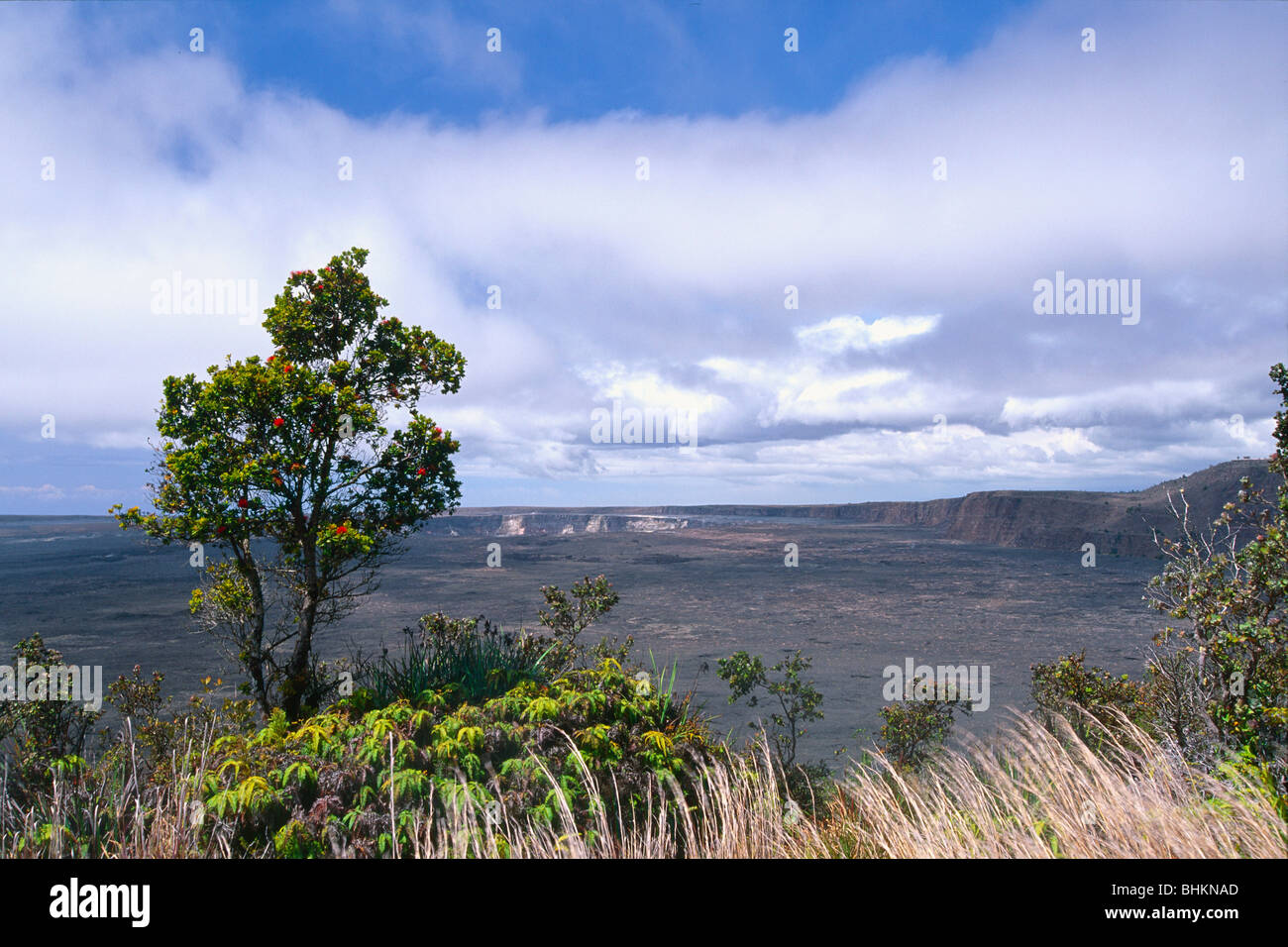 Vue panoramique sur la caldeira du volcan Kilauea, Hawaii Banque D'Images