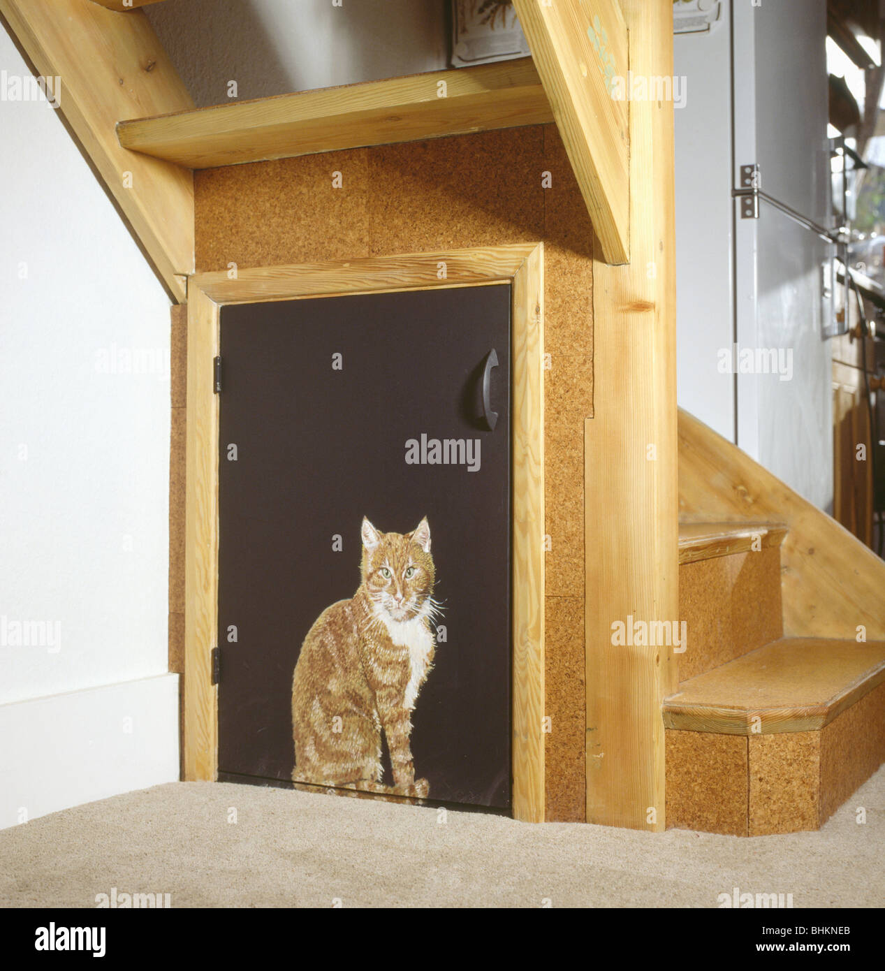Close-up de trompe-l'oeil de chat peint sur porte de placard de rangement  sous l'escalier Photo Stock - Alamy