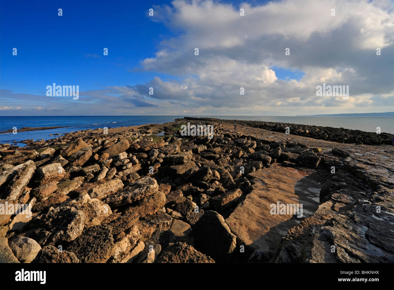 Filey Brigg promontoire rocheux naturel, Filey, North Yorkshire, Angleterre, Royaume-Uni. Banque D'Images