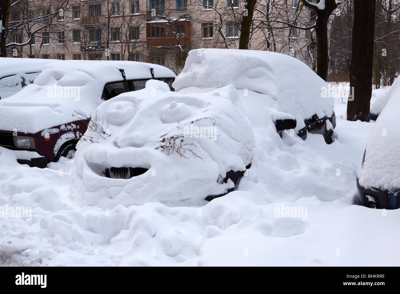 Avoir Images Art Sur Drole Voiture Apres Les Fortes Chutes De Neige Tiger le plus cool salutations