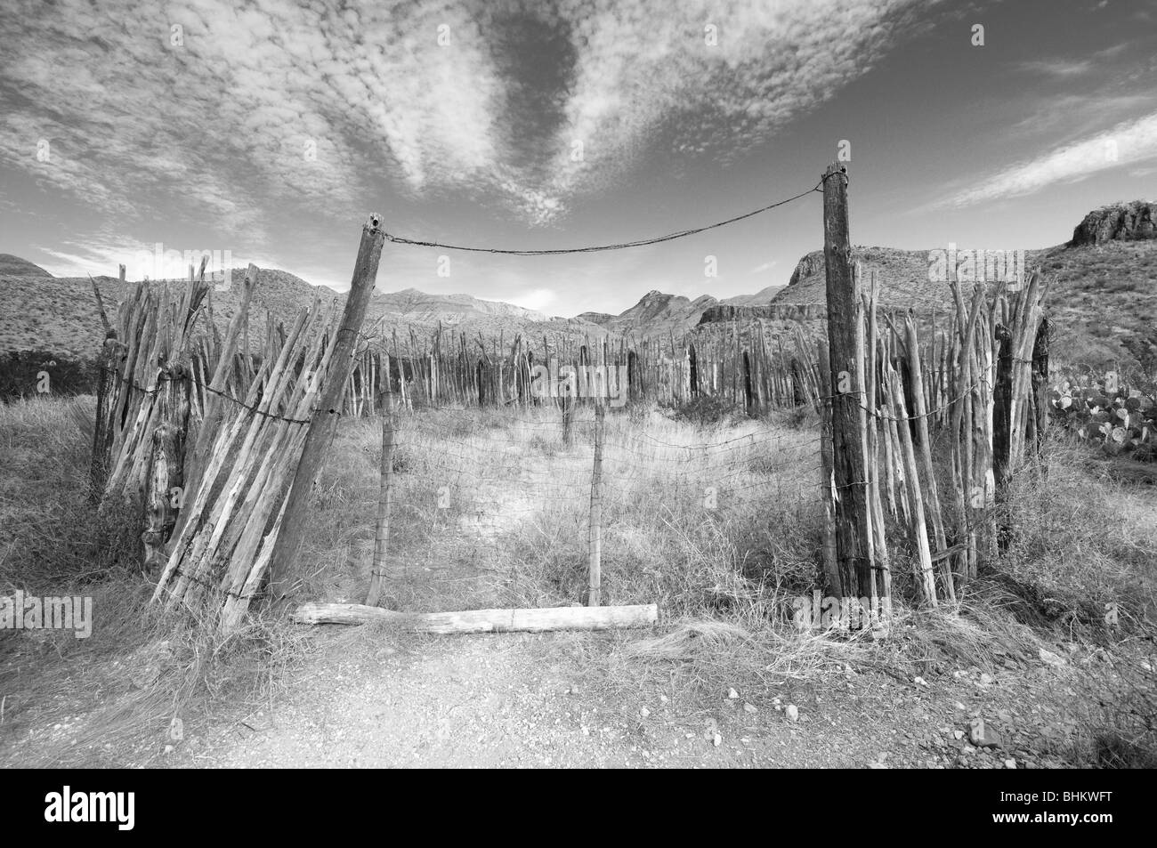 Ruines de corral, Homer Wilson's Ranch, Big Bend National Park, Texas Banque D'Images