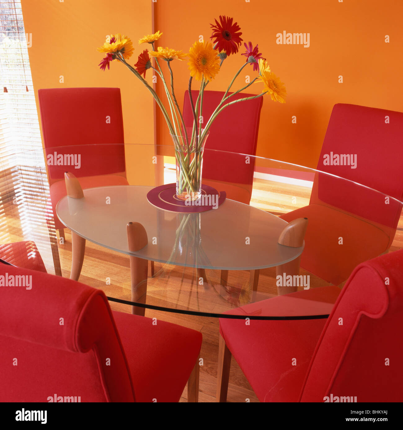 Vase de gerberas orange sur table en verre ovale orange dans la salle à manger avec de confortables chaises rouge Banque D'Images