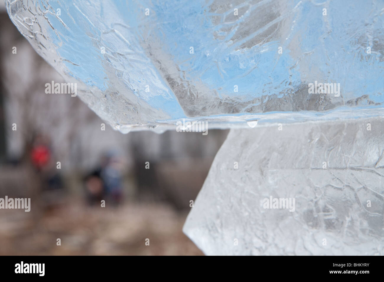 Close up de l'eau qui goutte au large d'une sculpture de glace Banque D'Images