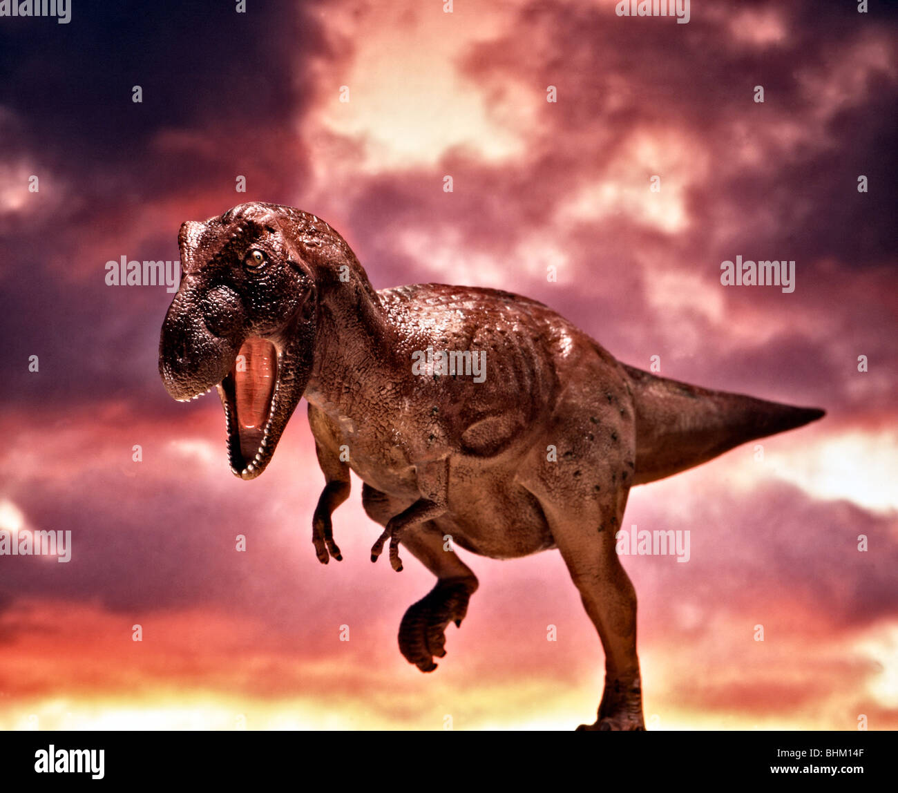 Dinosaure Tyrannosaurus Rex Banque D'Images