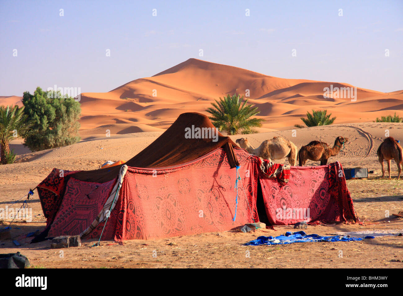 Tente berbère dans le désert Banque de photographies et d'images à haute  résolution - Alamy