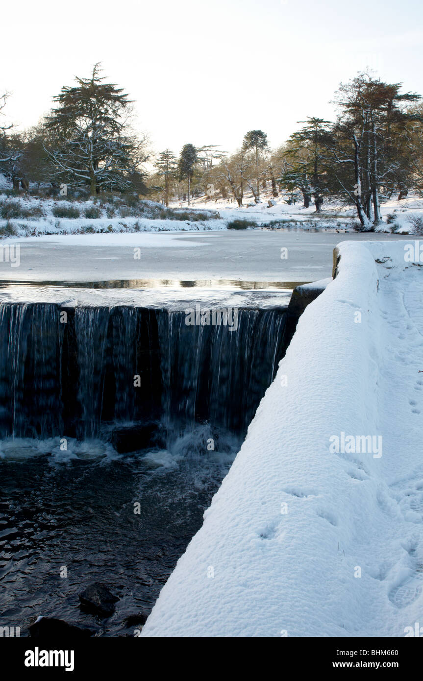 Scène d'hiver enneigé à Bradgate Park, Newtown Linford, Leicestershire Banque D'Images