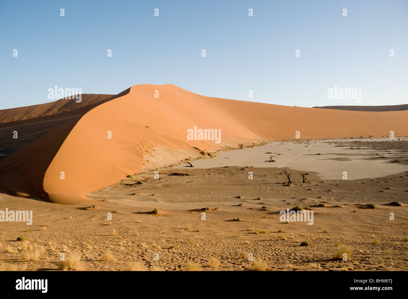 'Rouge' des dunes dans le désert de Namib, Namibie, Afrique. L'ombre en forme de S. Les arbres secs. Hidden Vlei, Sesriem Banque D'Images