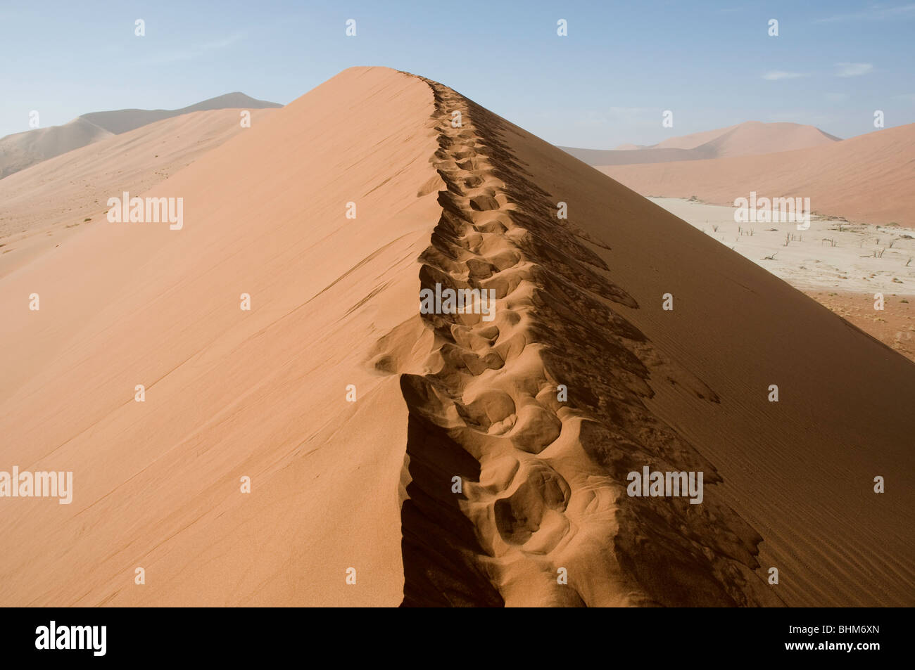 L'escalade des dunes de sable rouge, désert du Namib, Namibie, Afrique Banque D'Images