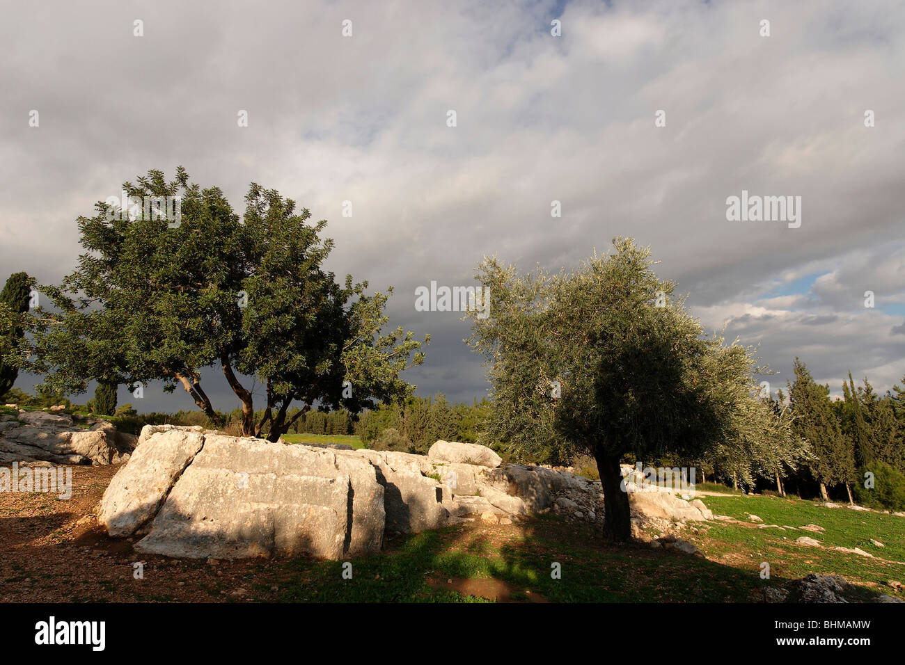 Israël, la Shephelah. 'Tombeaux des Macabees" anciennes tombes de la période d'Roman-Byzantine Banque D'Images