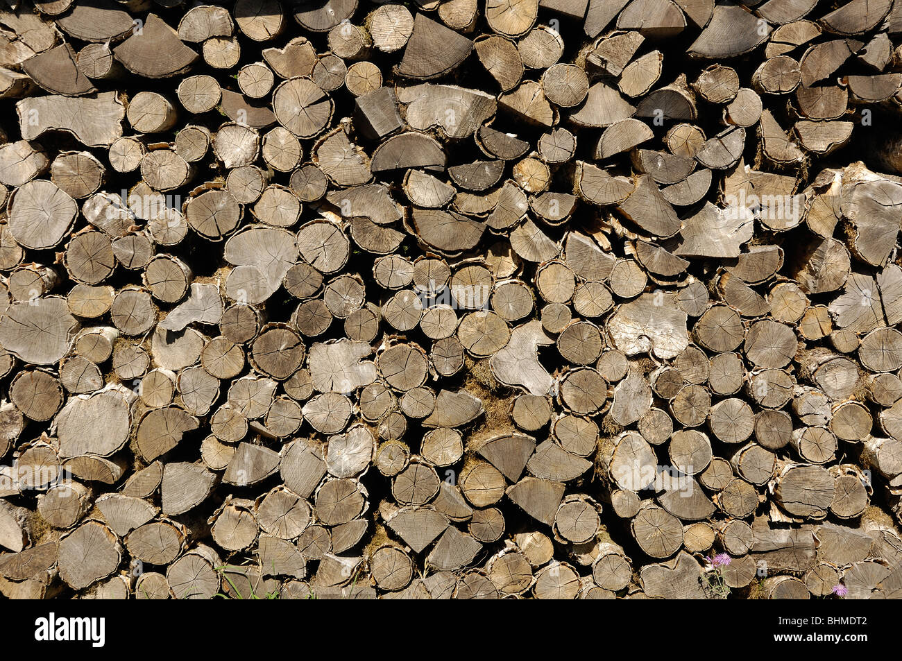 Bois de feu haché dans une pile Banque D'Images