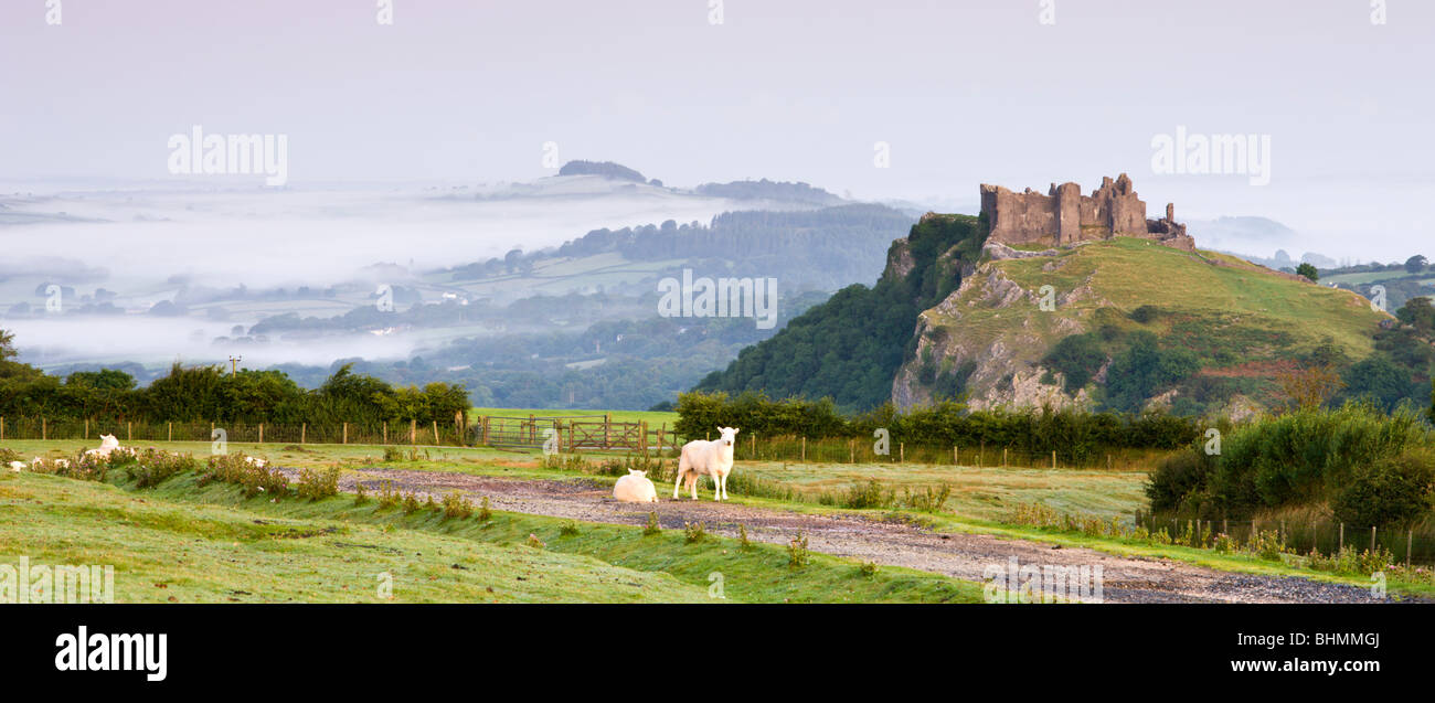 Carreg Cennen Castle à l'aube d'un matin brumeux de l'été, le Parc National des Brecon Beacons, Carmarthenshire, Pays de Galles, Royaume-Uni. Banque D'Images