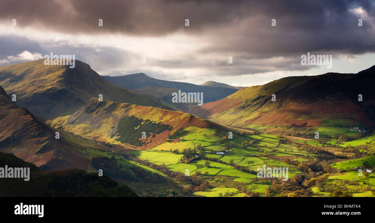 La fin de l'après-midi soleil illumine la luxuriante vallée de Newlands, Parc National de Lake District, Cumbria, Angleterre. Banque D'Images