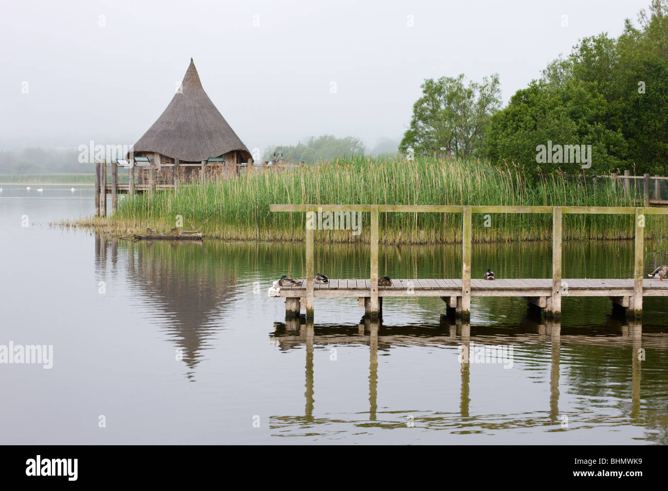 Matin brumeux à côté de la jetée et sur le lac de Llangorse Crannog reconstruit, parc national de Brecon Beacons, Powys, Pays de Galles. Banque D'Images