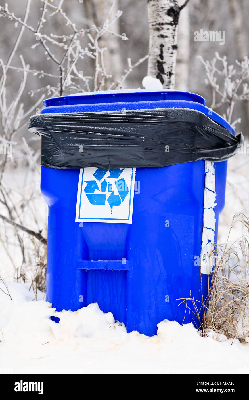 Bac de recyclage de la boîte bleue dans une forêt urbaine. Banque D'Images