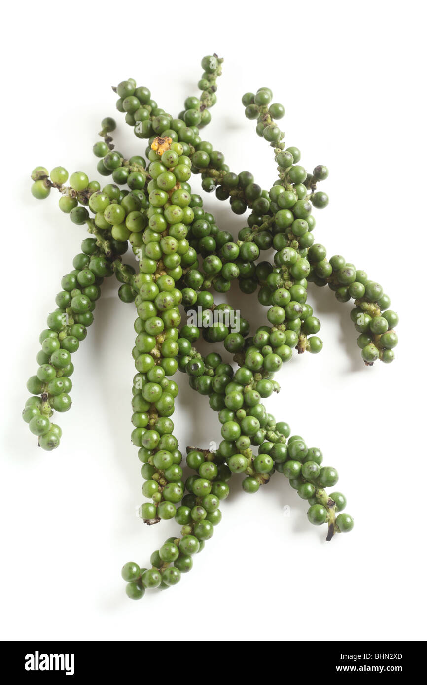 Une drupe de poivre vert de la vigne, plus de blanc avec une ombre légère. Banque D'Images