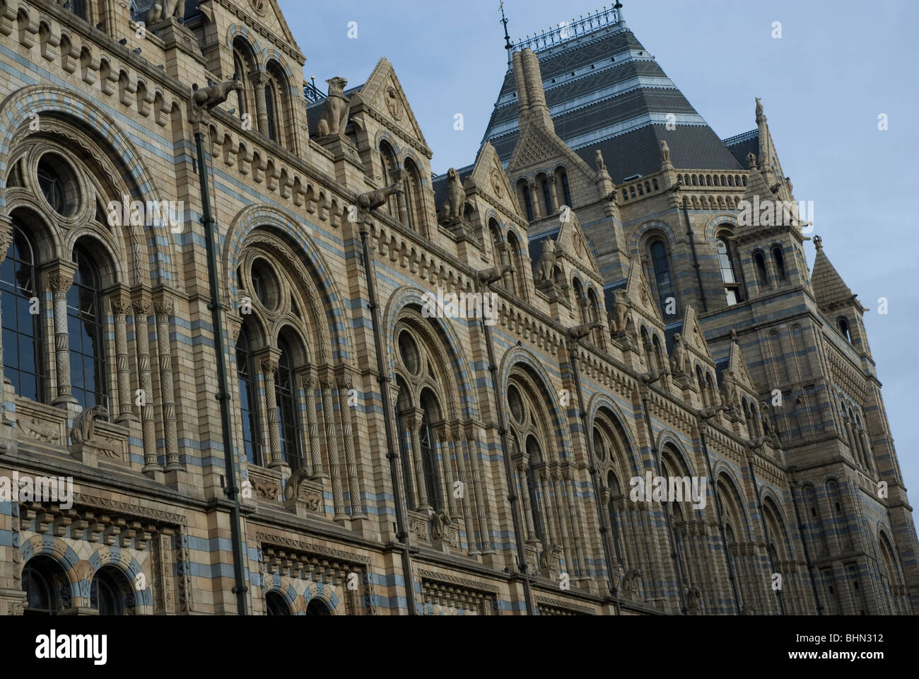 Natural History Museum, South Kensington London UK Banque D'Images