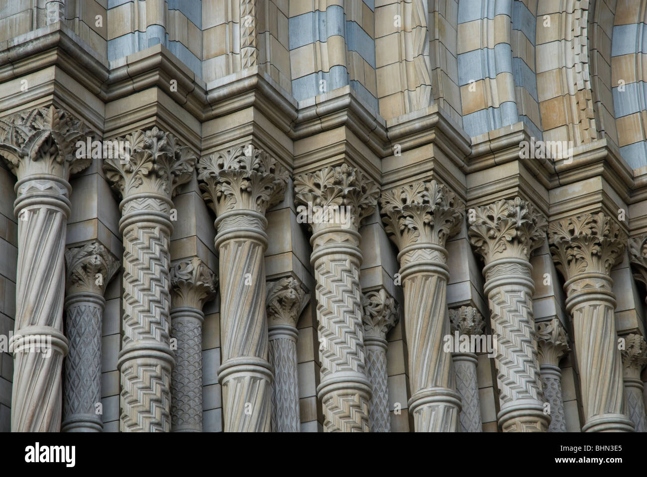Détail architectural de la Natural History Museum, South Kensington London UK Banque D'Images