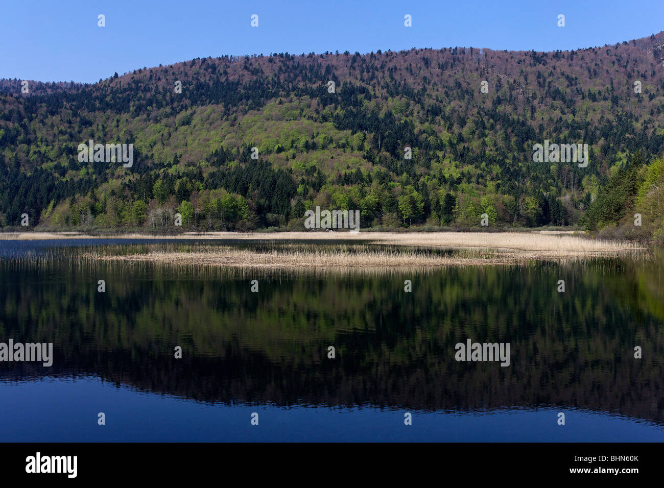 Cernisko (Cerknica) Lake,Région,Slovénie Notranjska Banque D'Images