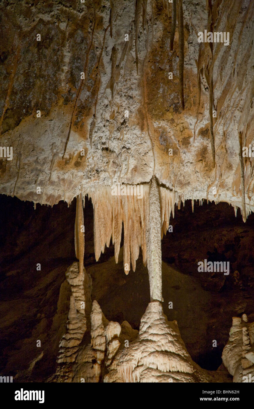 Les grottes calcaires Jenolan en Nouvelle Galles du Sud sont les plus anciens découverts dans les grottes ouvertes,monde,Blue Mountains Australie Banque D'Images