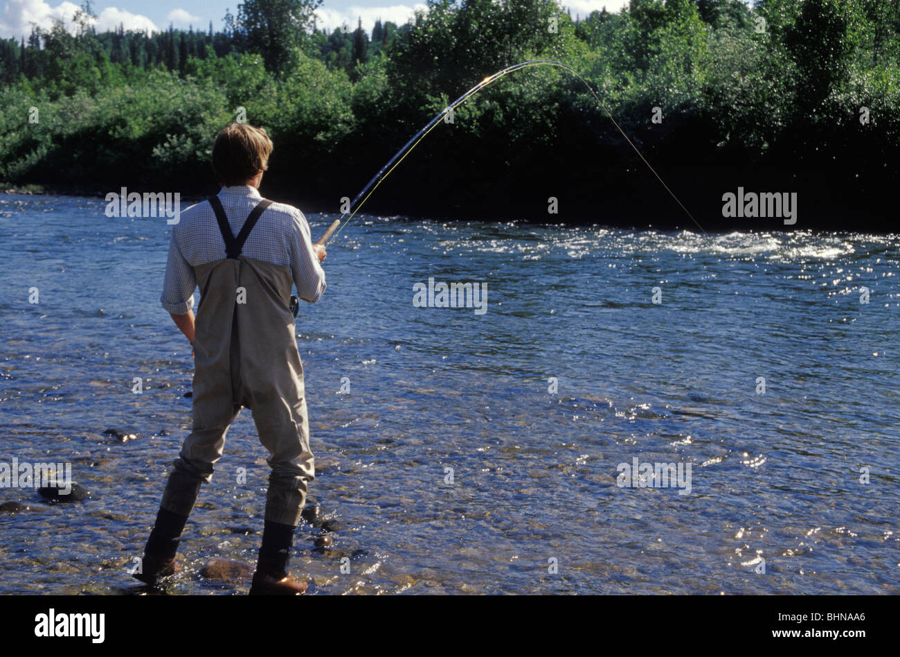 Pêche à instuctor Siméon la lecture d'un bon foin de la truite arc-en-ciel pris à la volée sur la Talachulitna River en Alaska Banque D'Images