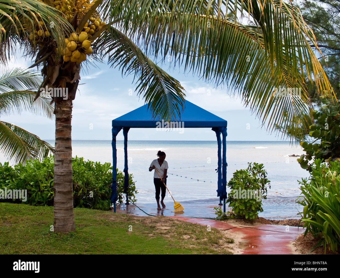 Une femme brosses a patio parmi cocotiers après une tempête tropicale en Jamaïque Banque D'Images