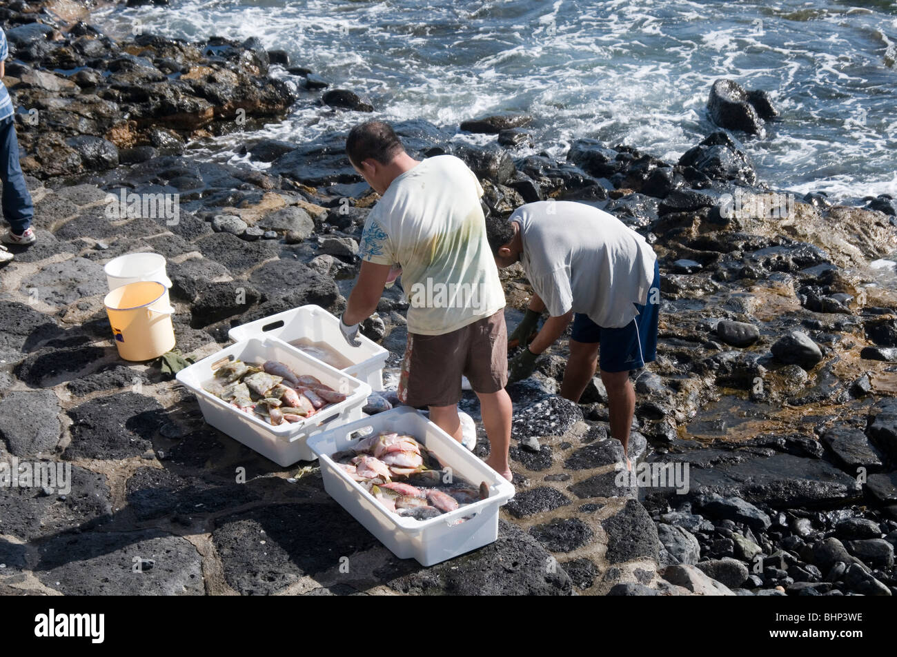 Les pêcheurs locaux pêcheur espagnol Espagne fuerteventura canaries isles canaries produits frais pêchés localement capture raide Banque D'Images