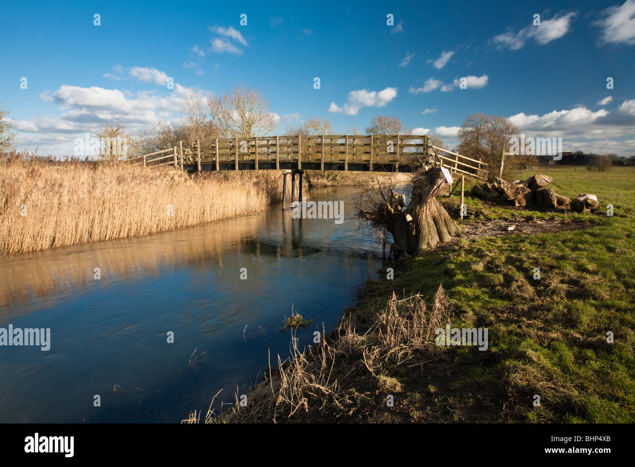 Sol en bois passerelle sur la partie supérieure de la rivière Thames près de Cricklade, Wiltshire, Royaume-Uni Banque D'Images