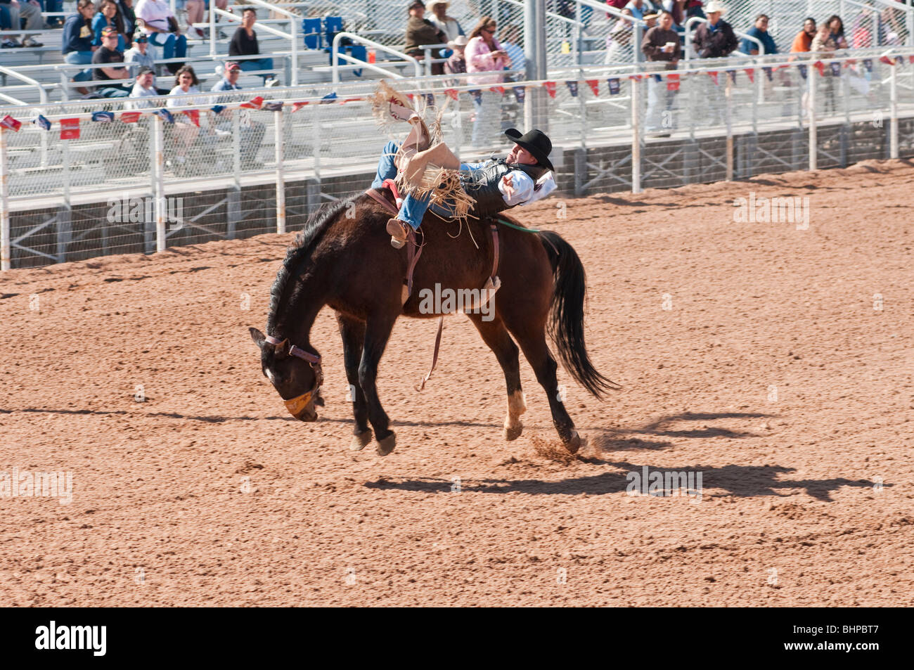 Un cowboy est en concurrence dans la Selle monte au cours de l'événement O'Odham Tash tous-Indian Rodeo Banque D'Images