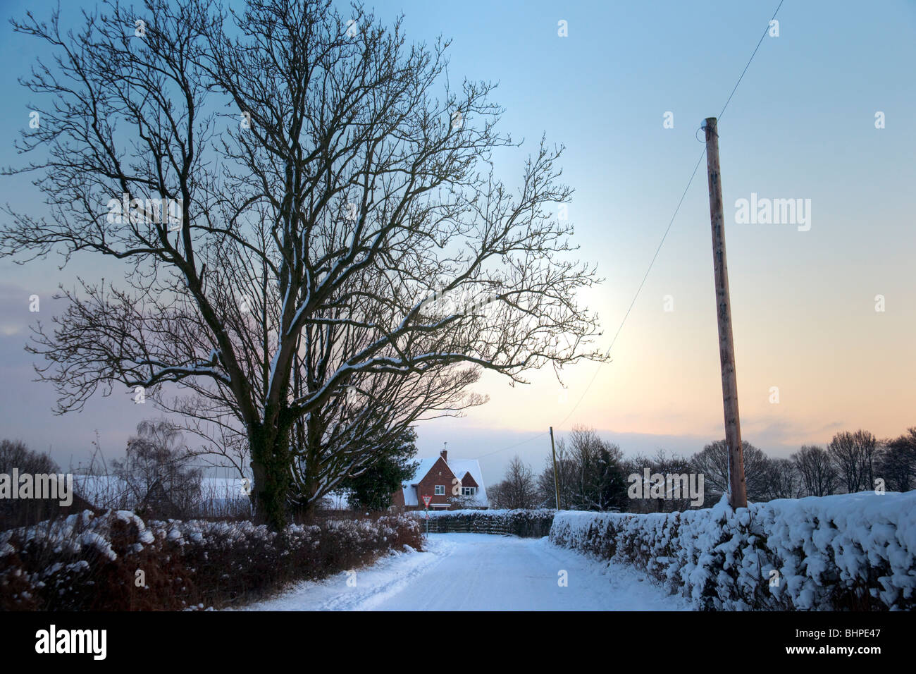 Soirée d'hiver dans un chemin de campagne, entre 2 lacs, Buckinghamshire Chilterns, uk, Banque D'Images