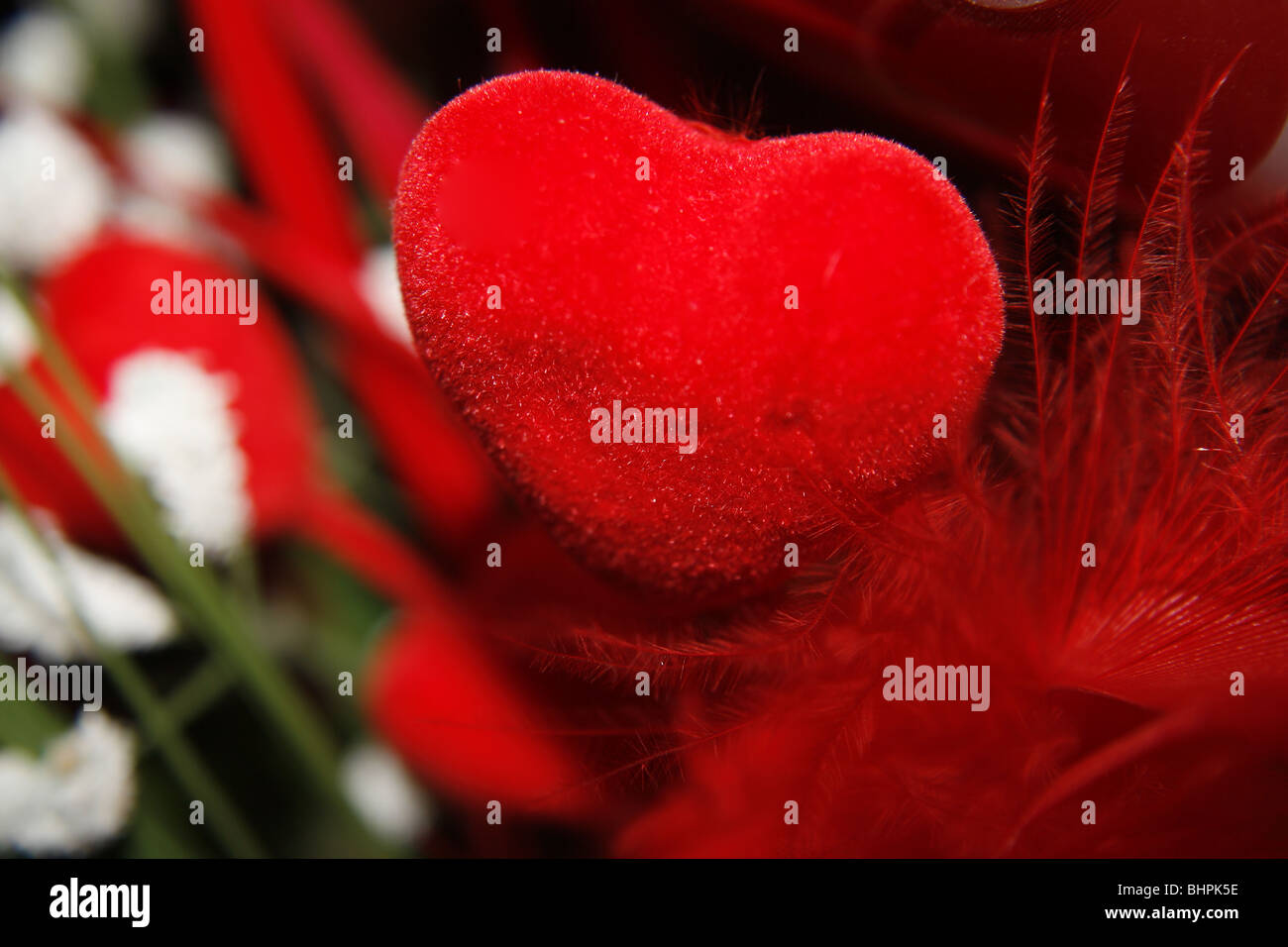 14 février Saint-valentin amour coeur rouge romantique Banque D'Images