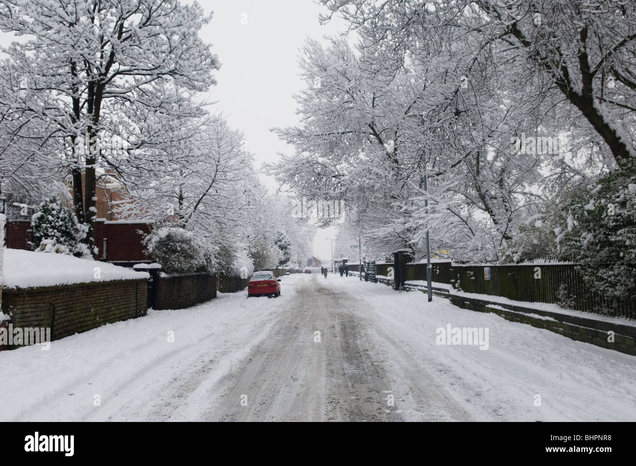 Rue en milieu urbain et les arbres couverts de neige dans de mauvaises conditions météorologiques Manchester UK Banque D'Images