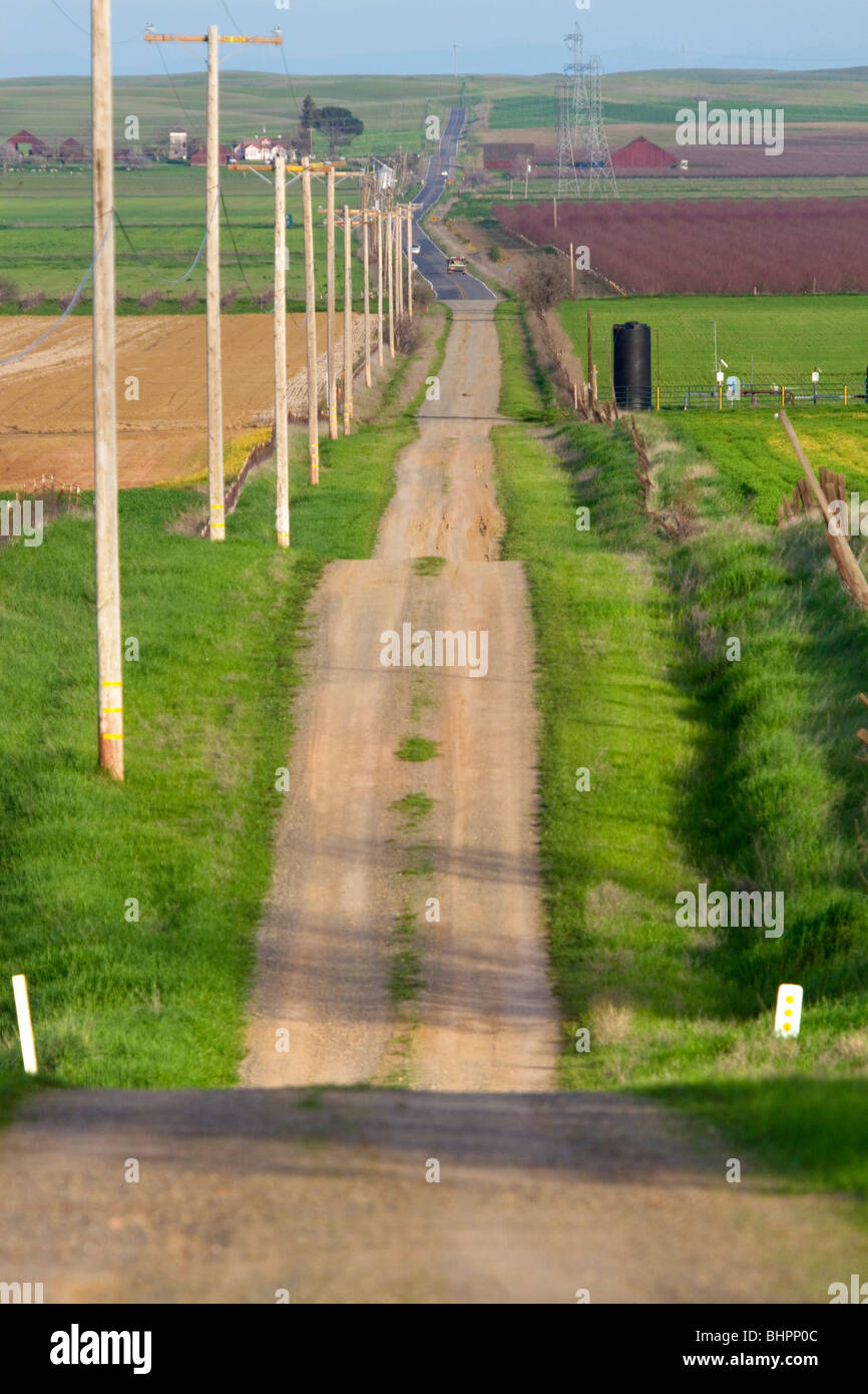 Un seul chemin de terre chefs au loin dans la distance dans la Vallée de Sacramento en Californie du nord Banque D'Images