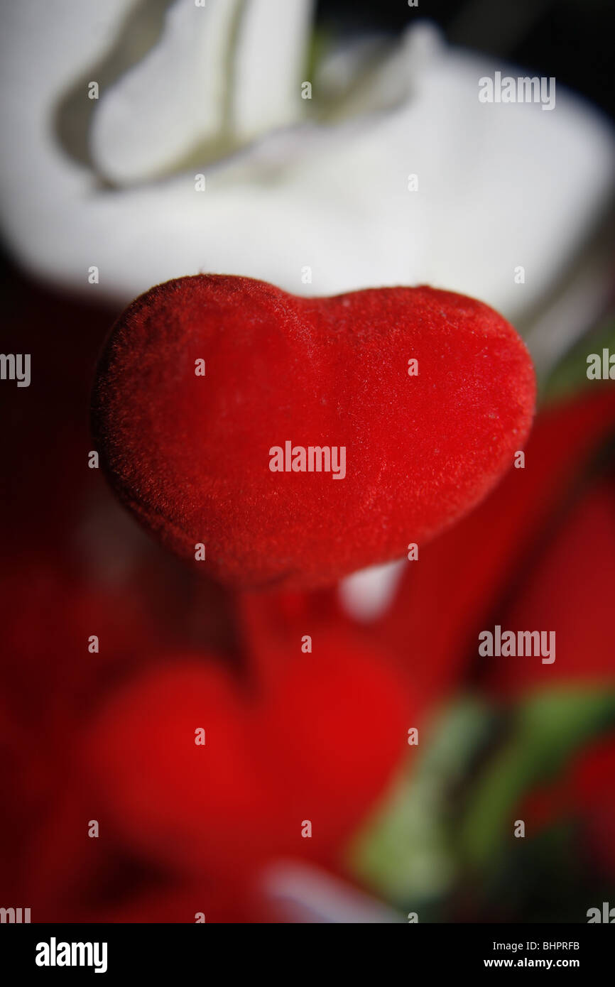 14 février Saint-valentin amour coeur rouge romantique Banque D'Images