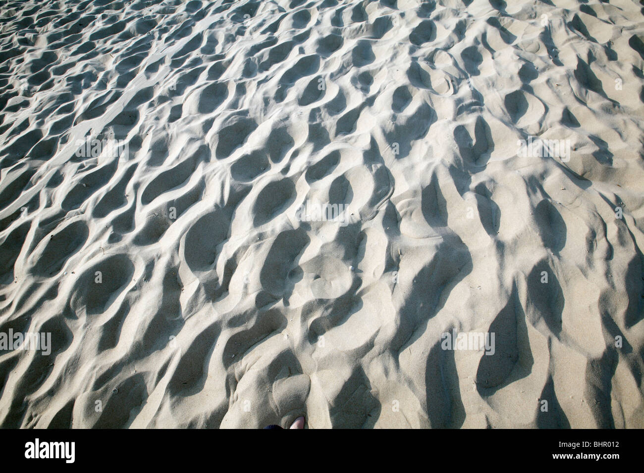 Des empreintes de pas dans le sable, l'île de Texel, Hollande Banque D'Images