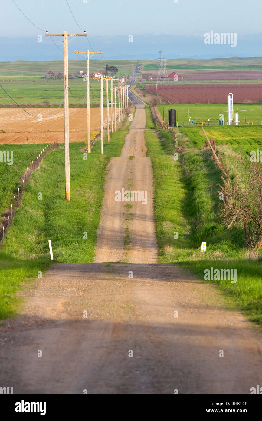 Un seul chemin de terre chefs au loin dans la distance dans la Vallée de Sacramento en Californie du nord Banque D'Images