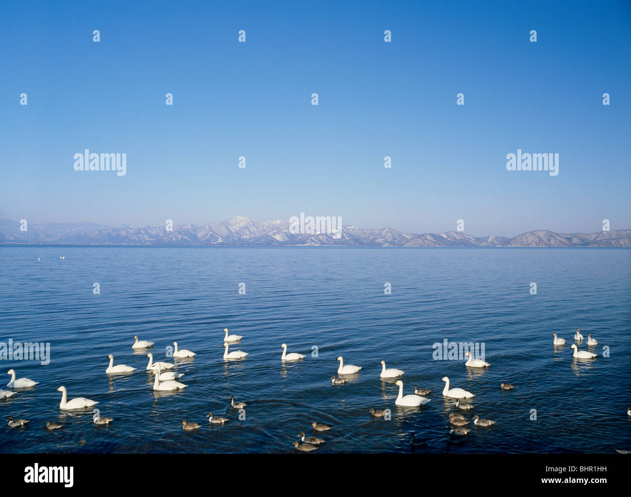 Lac Inawashiro, Aizuwakamatsu, Fukushima, Japon Banque D'Images