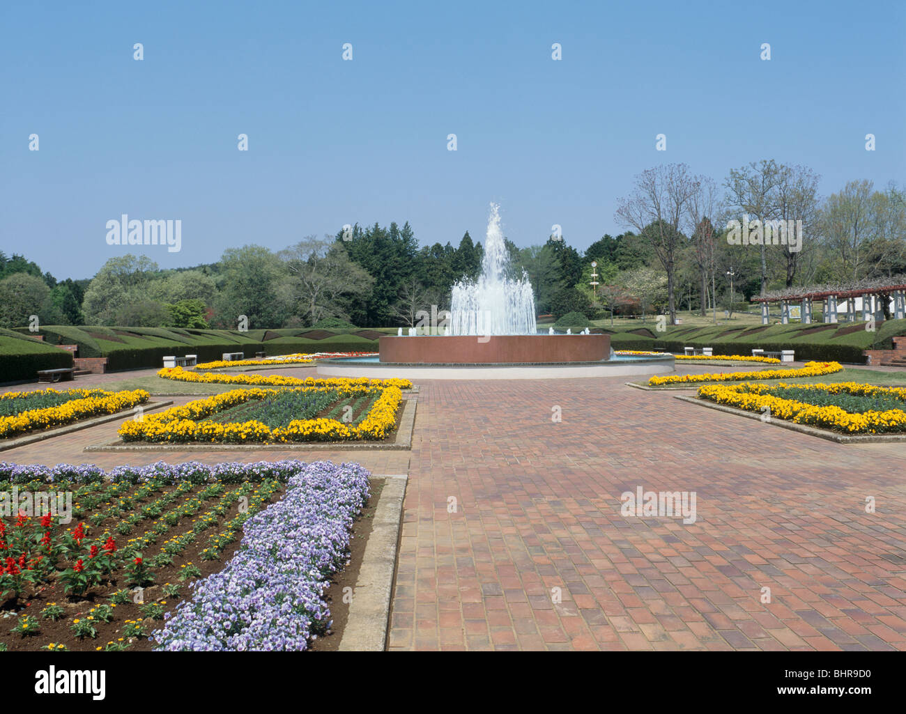 Jardin Botanique d'Ibaraki, Naka, Ibaraki, Japon Banque D'Images