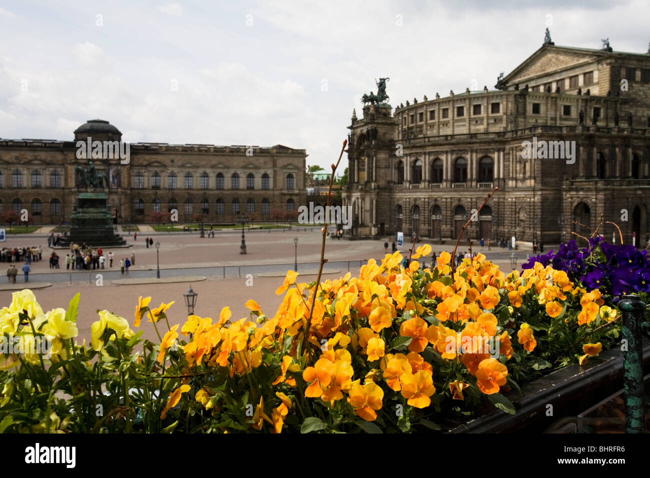 Fleurs en face de l'Terrassenufer. L'Opéra Semper Sächsische Staatsoper et Schauspielshaus Dresden, Allemagne Banque D'Images