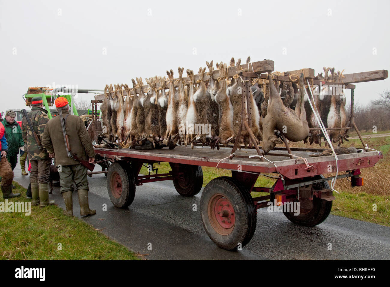 Lapin, lièvre et chevreuil. Les animaux tués sur un panier après une chasse Banque D'Images
