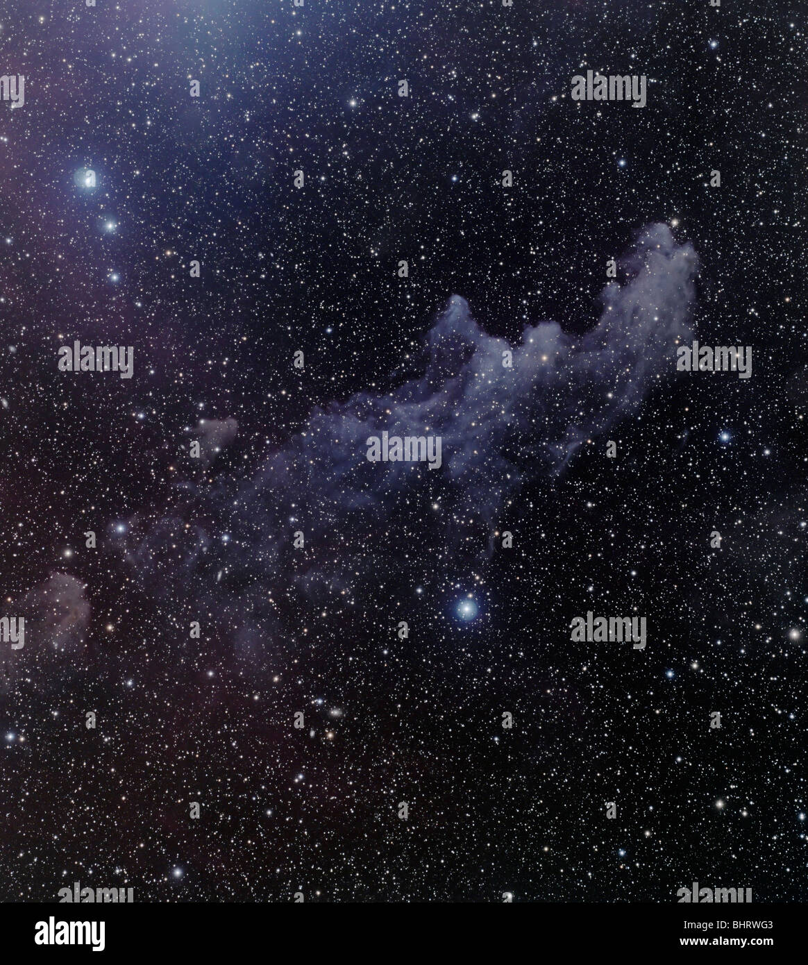 IC 2118, également connu sous le nom de Nébuleuse de la tête de sorcière), est une nébuleuse de réflexion près de la constellation Orion. Banque D'Images