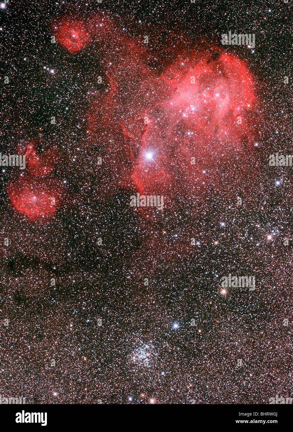 Nébuleuse bat et ouvert NGC 3766 étoiles, le Pearl Cluster. Banque D'Images
