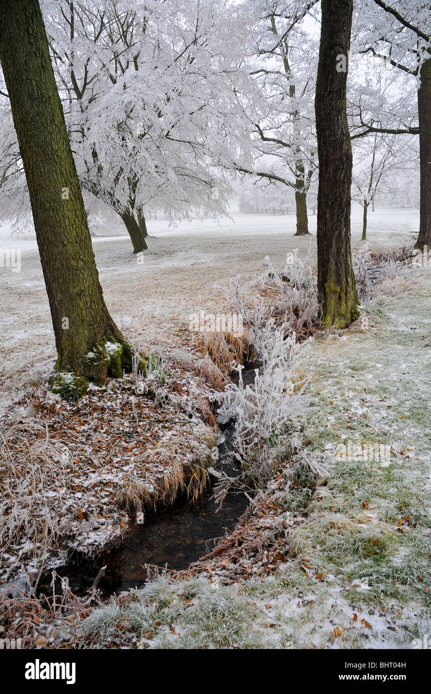 Bach, Wiese, Bäume, hiver mit Raureif, Hiver | creek, Brook, l'hiver, le gel Banque D'Images