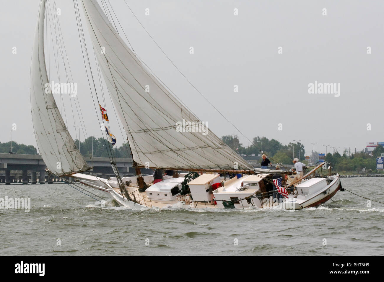 Le listao MARTHA LEWIS dur sur le vent dans les courses de listao annuel Banque D'Images