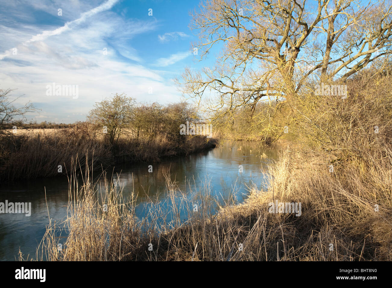 Cours supérieur de la rivière Thames près de Cricklade, Wiltshire, Royaume-Uni Banque D'Images